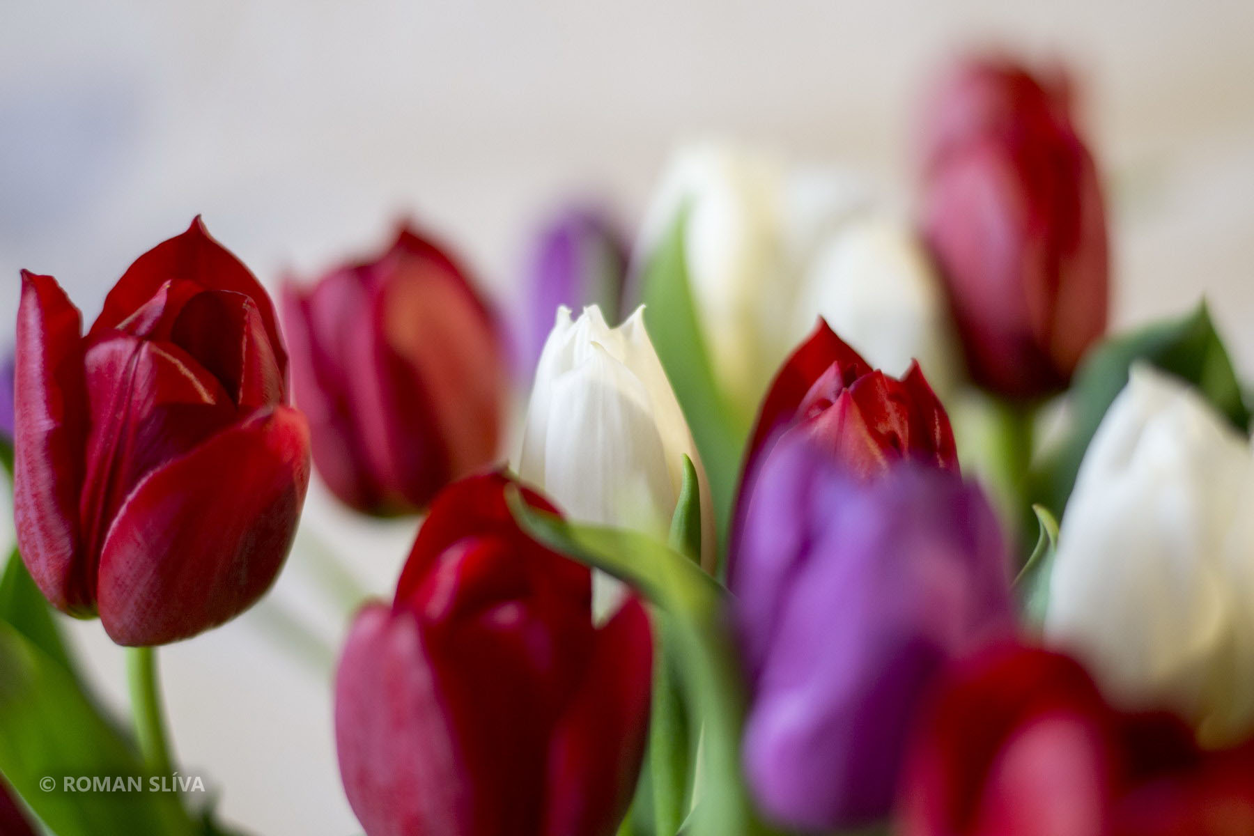 &copy;&nbsp;Roman Slíva