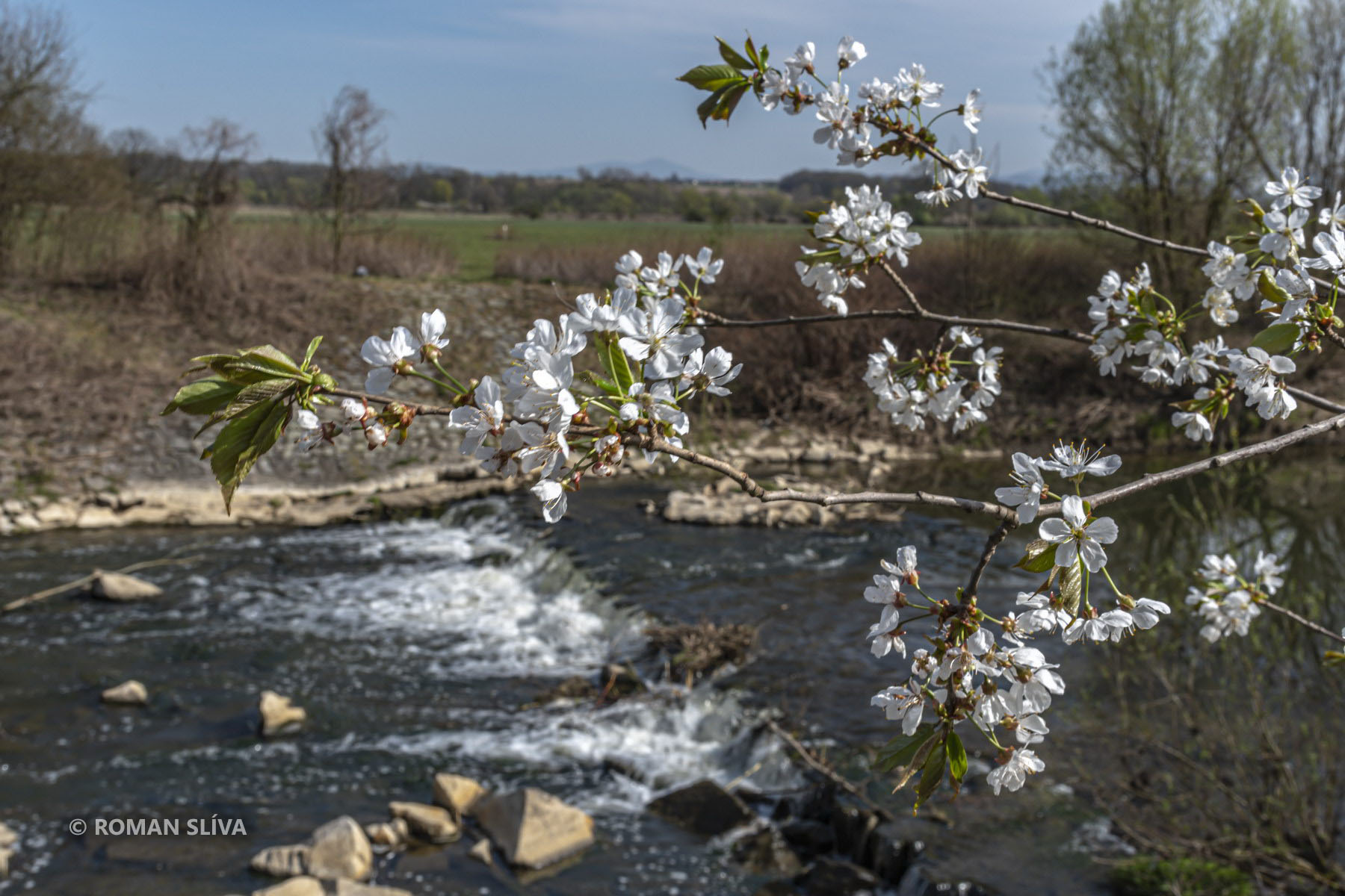 &copy;&nbsp;Roman Slíva