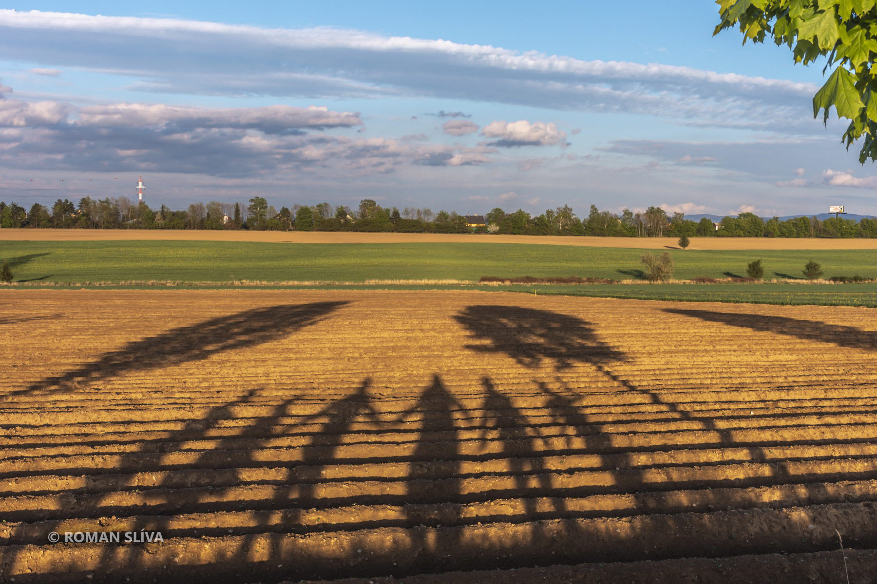 &copy;&nbsp;Roman Slíva