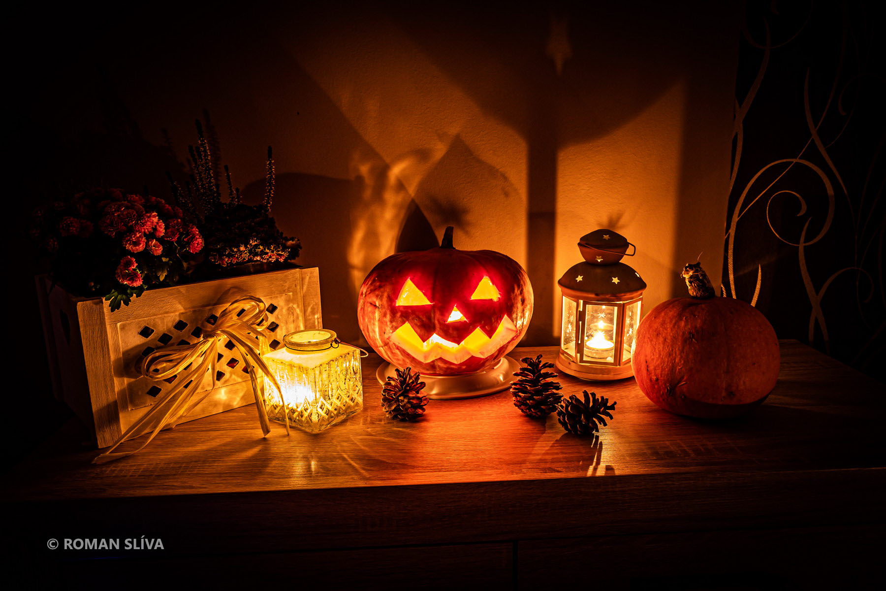 &copy;&nbsp;Roman Slíva