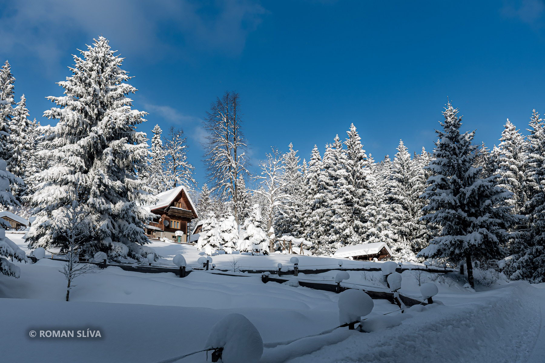 &copy;&nbsp;Roman Slíva